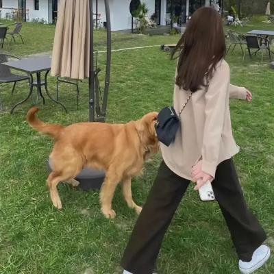 反诈风暴之不可饶恕