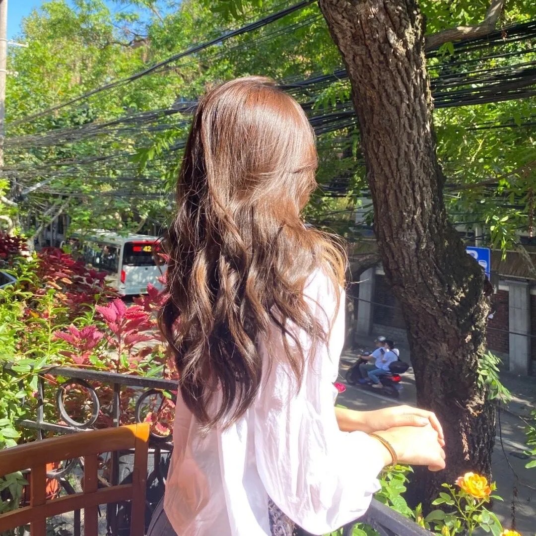 开心芒果2016
