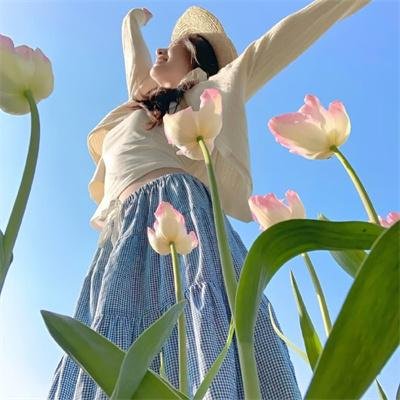 藏
